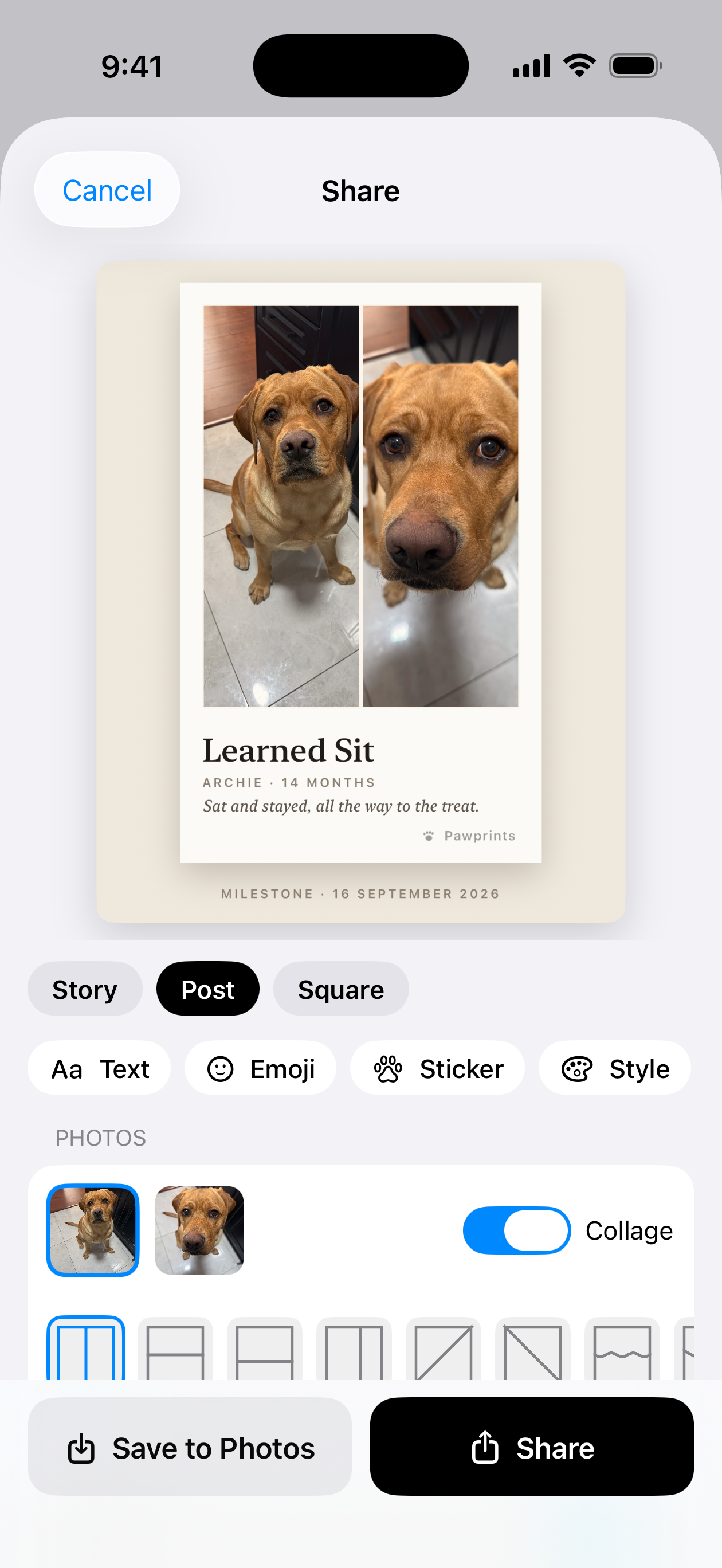 Share view with a two-photo collage print, format choices and collage templates